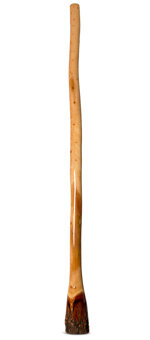 Ironbark Didgeridoo (IB175)